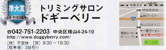f:id:chuokurashinet:20181211175545p:plain