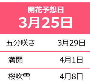 f:id:chuokurashinet:20190303100941p:plain
