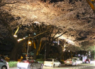 f:id:chuokurashinet:20190303101324p:plain