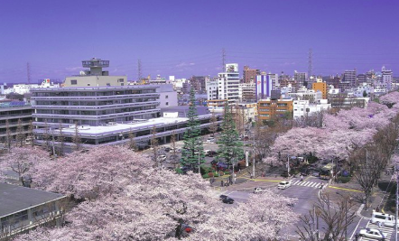 f:id:chuokurashinet:20190303101512p:plain