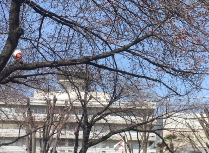 f:id:chuokurashinet:20190322142257p:plain
