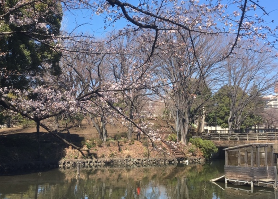f:id:chuokurashinet:20190324120710p:plain