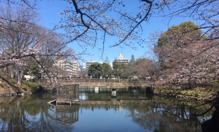 f:id:chuokurashinet:20190324120801p:plain