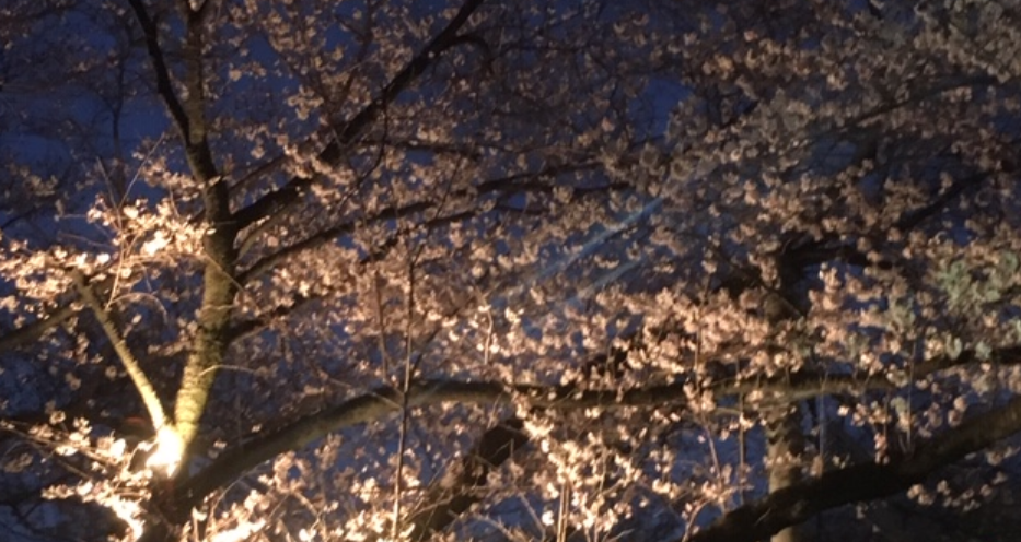 f:id:chuokurashinet:20190329072820p:plain