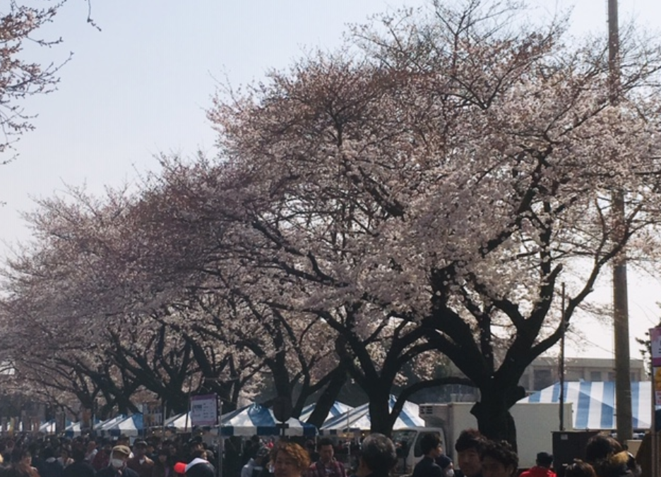 f:id:chuokurashinet:20190330185955p:plain