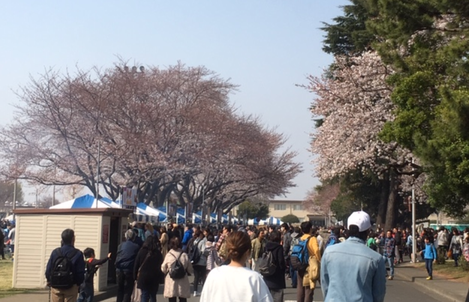 f:id:chuokurashinet:20190330190952p:plain