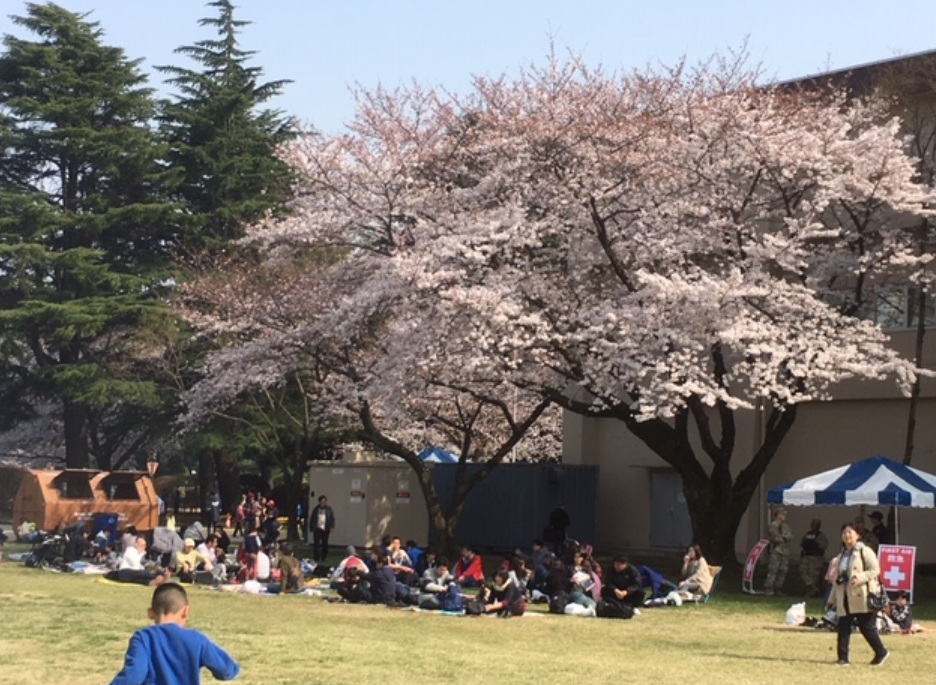 f:id:chuokurashinet:20190330191148p:plain