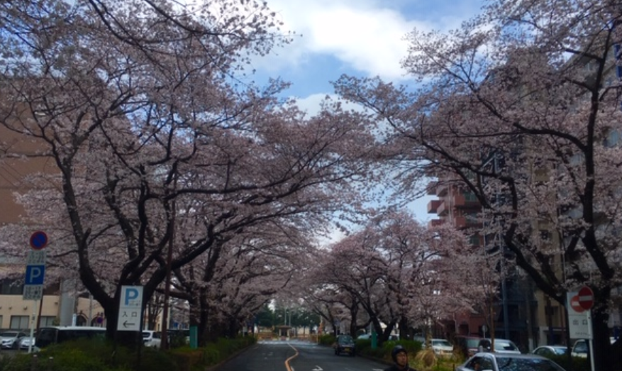 f:id:chuokurashinet:20190331162854p:plain