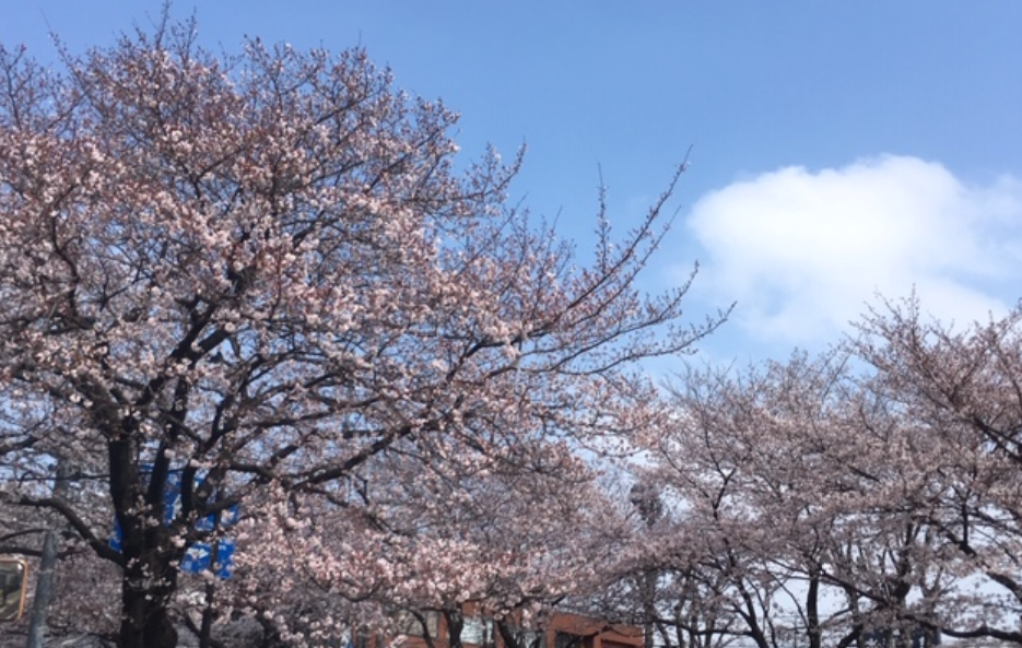 f:id:chuokurashinet:20190331165343p:plain