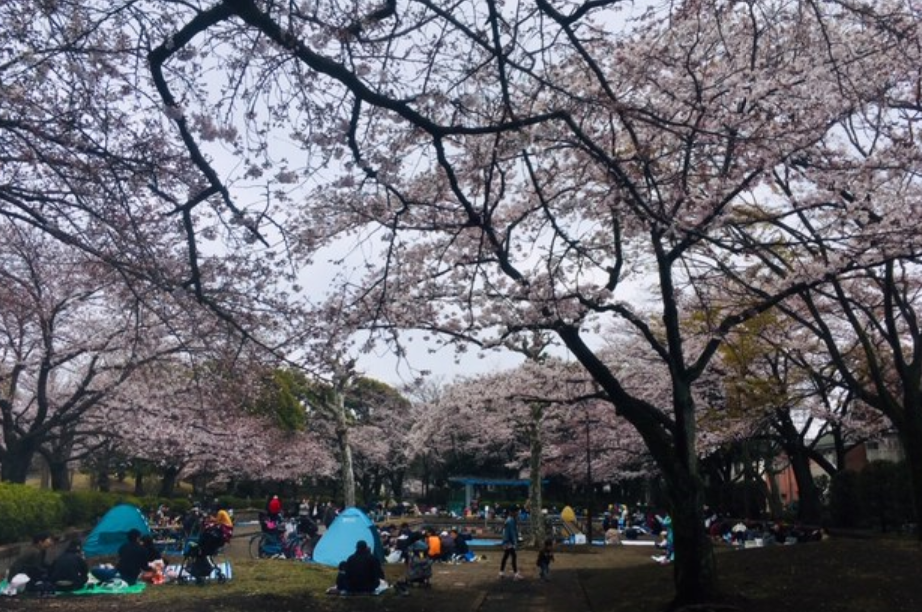 f:id:chuokurashinet:20190331170600p:plain