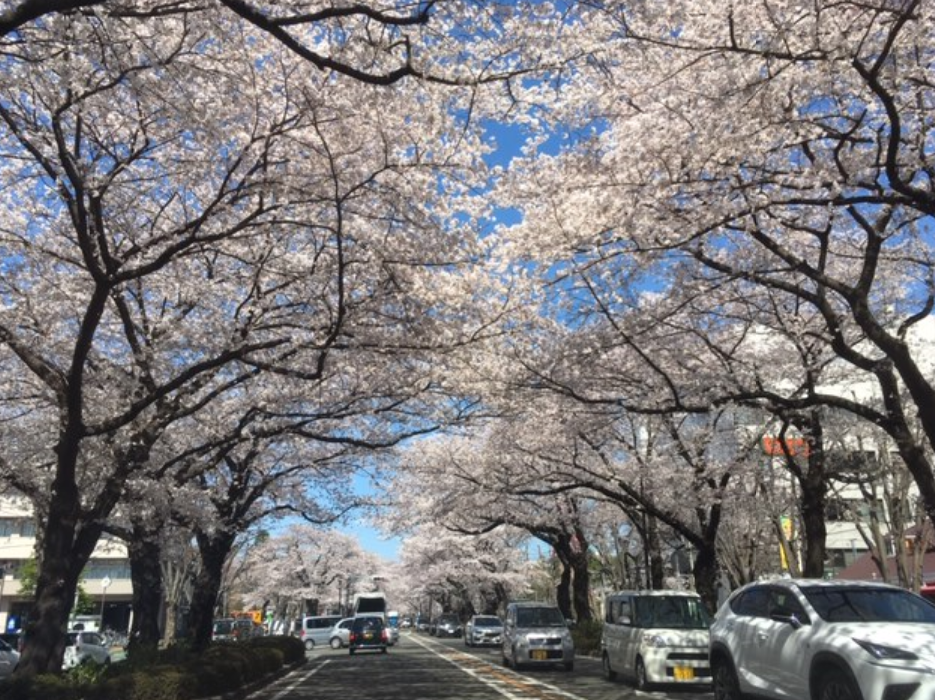 f:id:chuokurashinet:20190403141614p:plain