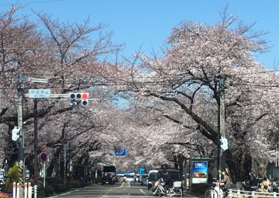 f:id:chuokurashinet:20190403141711p:plain