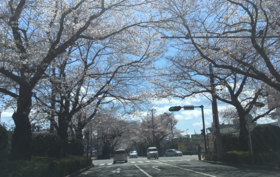 f:id:chuokurashinet:20190403141940p:plain