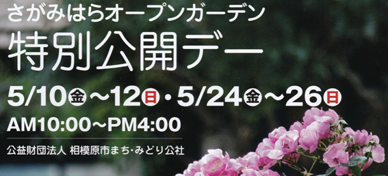 f:id:chuokurashinet:20190415114653p:plain
