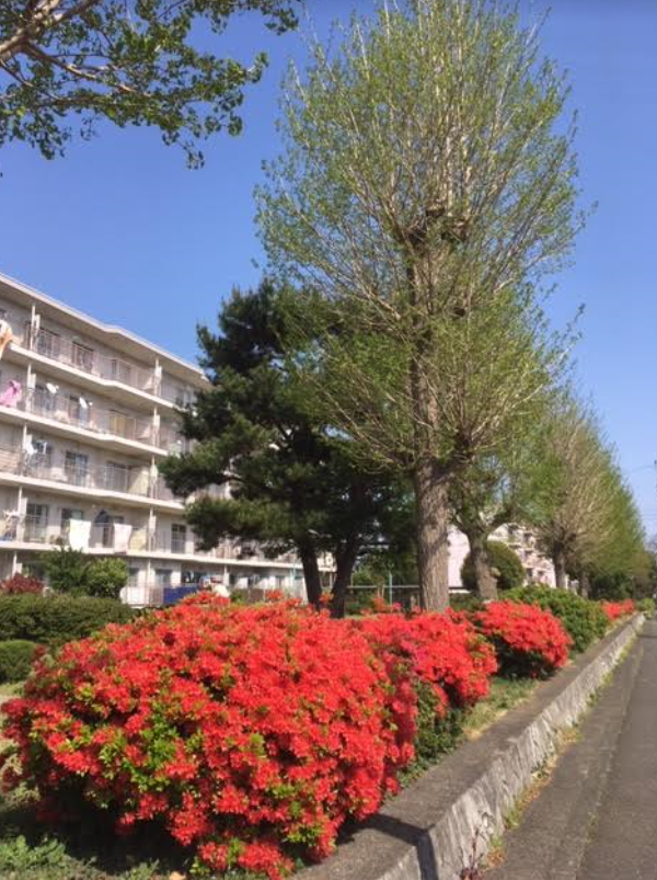 f:id:chuokurashinet:20190420152738p:plain