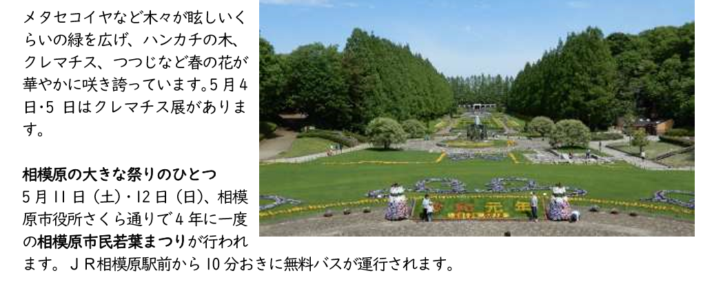 f:id:chuokurashinet:20190505121555p:plain