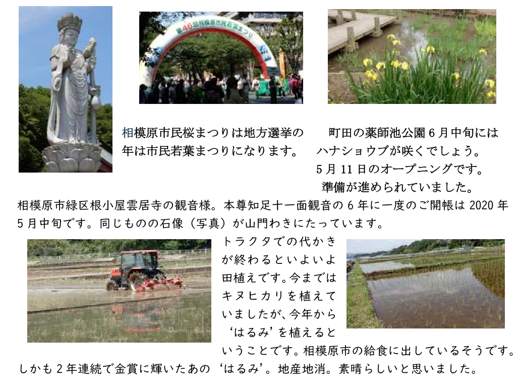 f:id:chuokurashinet:20190527101013p:plain