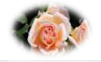 f:id:chuokurashinet:20190527101052p:plain