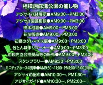 f:id:chuokurashinet:20190528224258p:plain