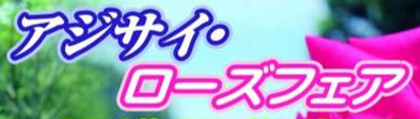 f:id:chuokurashinet:20190528225036p:plain