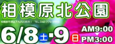 f:id:chuokurashinet:20190528225125p:plain