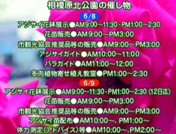 f:id:chuokurashinet:20190528225357p:plain