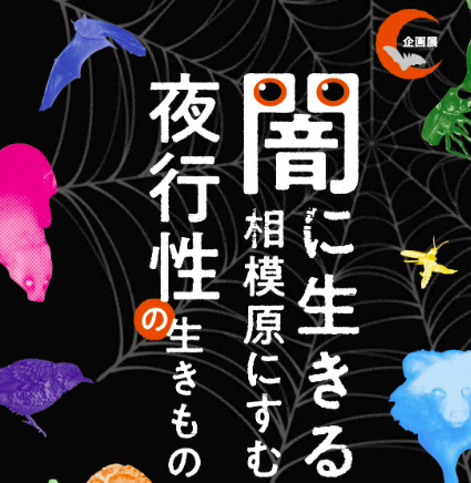 f:id:chuokurashinet:20190611085621p:plain f:id:chuokurashinet:20190611085621p:plain