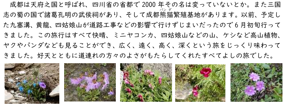 f:id:chuokurashinet:20190616062752p:plain