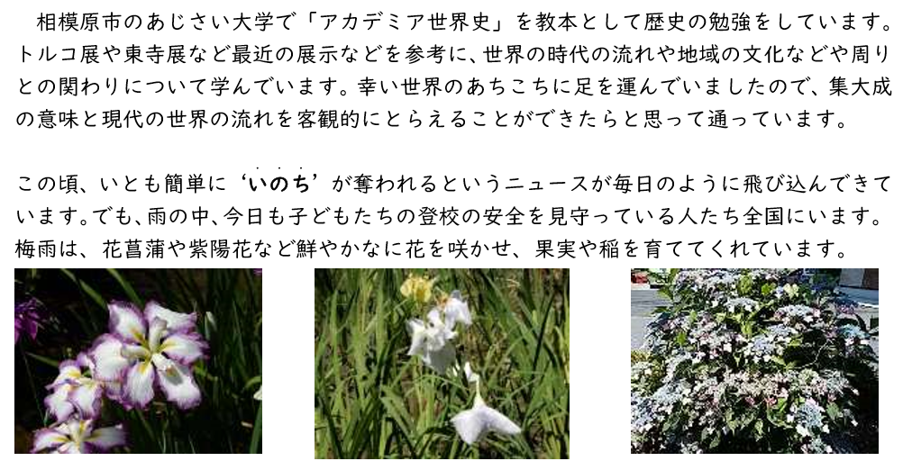 f:id:chuokurashinet:20190616062932p:plain