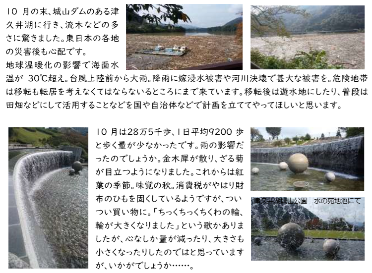 f:id:chuokurashinet:20191104172933p:plain