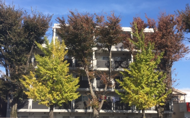 f:id:chuokurashinet:20191118164748p:plain