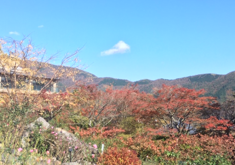 f:id:chuokurashinet:20191121215512p:plain