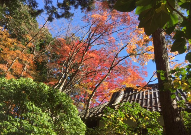 f:id:chuokurashinet:20191121221047p:plain