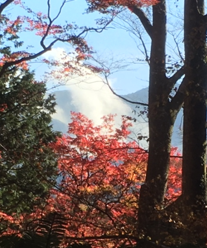 f:id:chuokurashinet:20191121221637p:plain