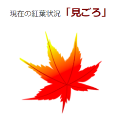 f:id:chuokurashinet:20191130073738p:plain