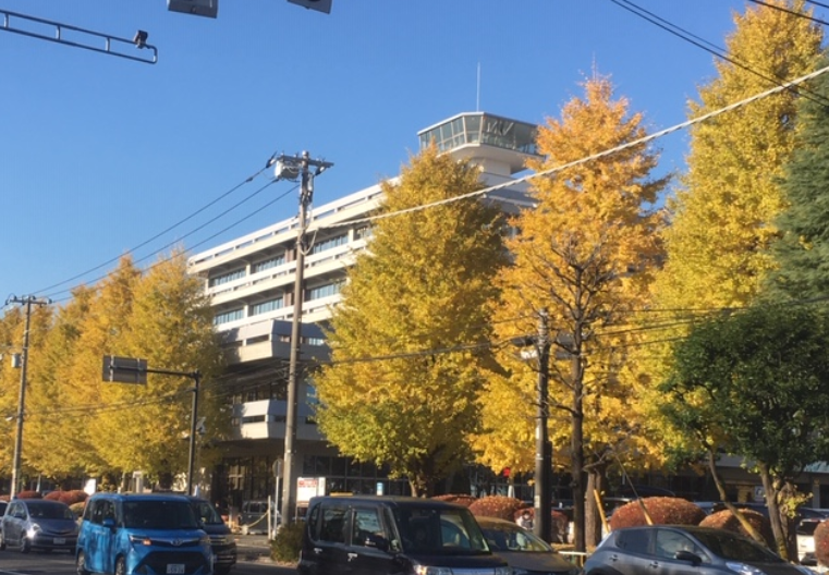 f:id:chuokurashinet:20191206073819p:plain