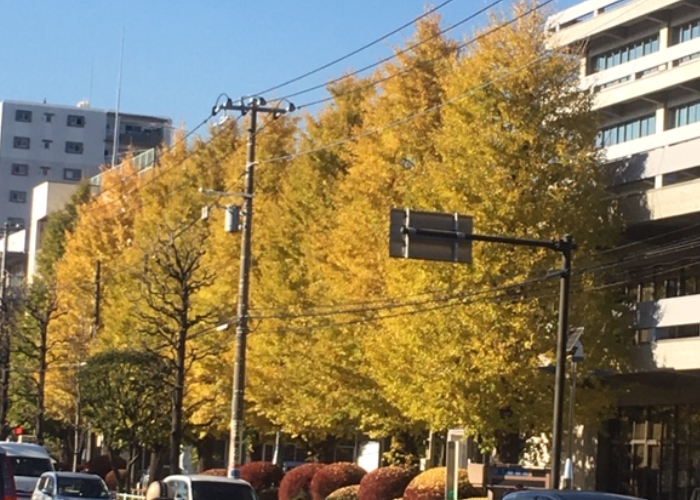 f:id:chuokurashinet:20191206073910p:plain
