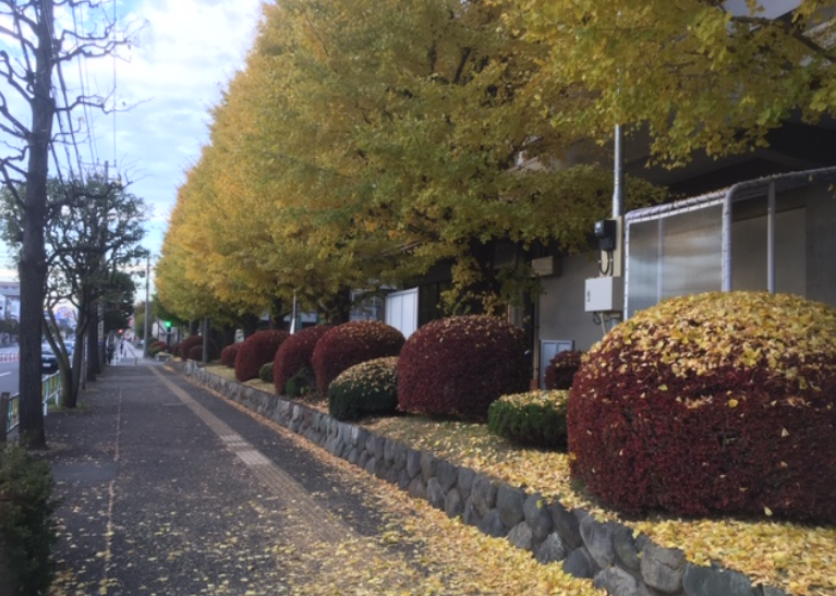 f:id:chuokurashinet:20191206074131p:plain