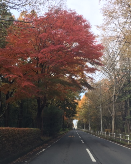 f:id:chuokurashinet:20191211111239p:plain