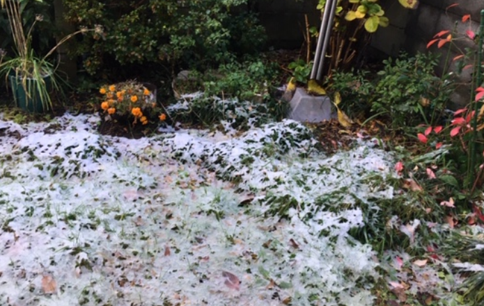 f:id:chuokurashinet:20191223075423p:plain