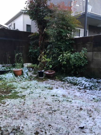 f:id:chuokurashinet:20191223075647p:plain