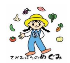 f:id:chuokurashinet:20200219110717p:plain