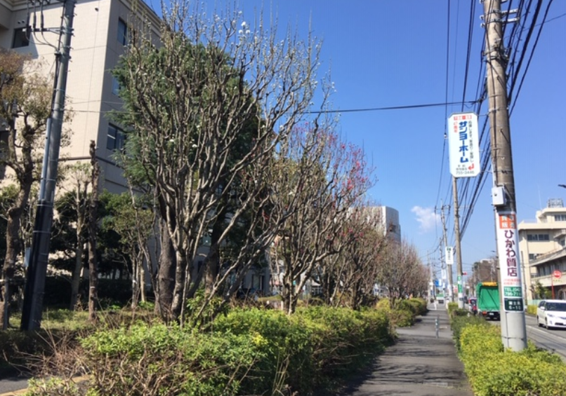 f:id:chuokurashinet:20200318113415p:plain