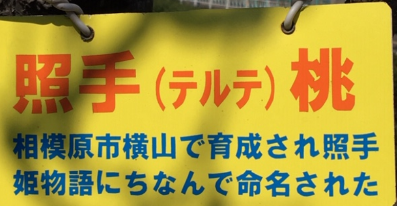 f:id:chuokurashinet:20200318113752p:plain