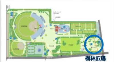 淵野辺公園 樹林広場 風っ子 砦 リニューアル 工事完了 ちゅうおうくらしねっと