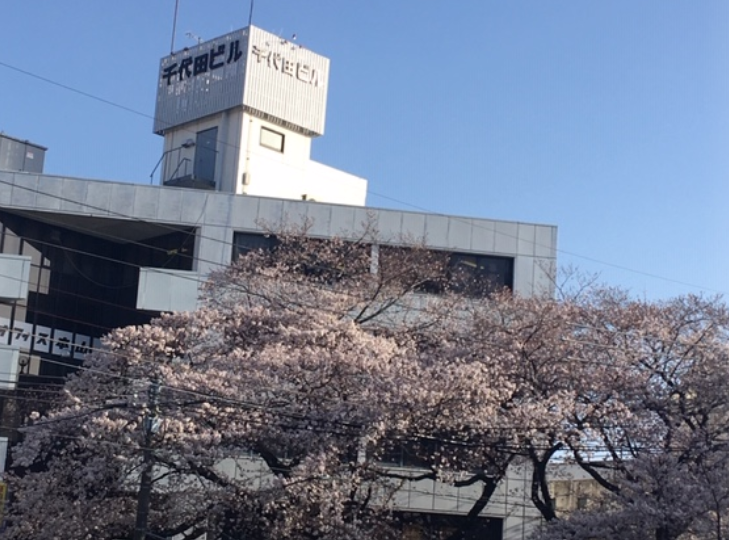 f:id:chuokurashinet:20200322104054p:plain