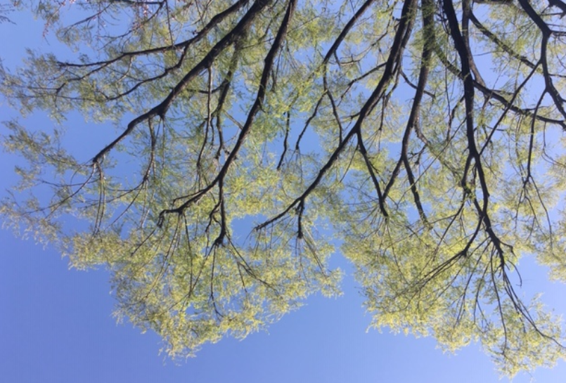 f:id:chuokurashinet:20200322104609p:plain