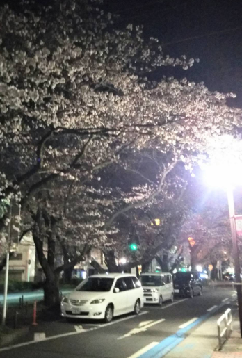 f:id:chuokurashinet:20200323130700p:plain