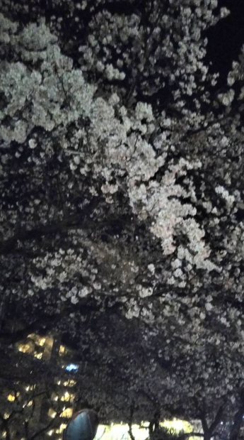 f:id:chuokurashinet:20200323130750p:plain