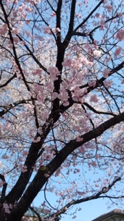 f:id:chuokurashinet:20200325154215p:plain